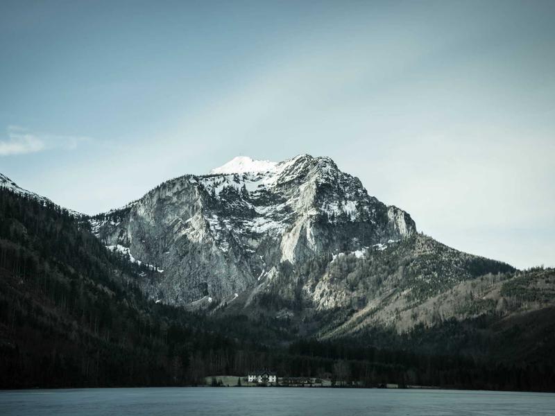 TikTok批量起号<br>多账号矩阵搭建快速做权重